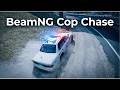 Beam.ng but i am the cop