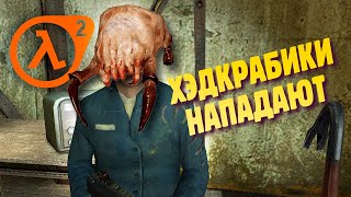 :      Half-Life 2 #2