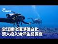 動物保護與生態危機：壽山獼猴遭遊客攻擊、珊瑚白化