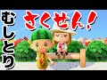 【ゲーム遊び】あつまれ どうぶつの森 むしとり作戦！ふたりで協力してたくさんムシをつかまえよう！【アナケナ&カルちゃん】あつ森 Animal Crossing: New Horizons