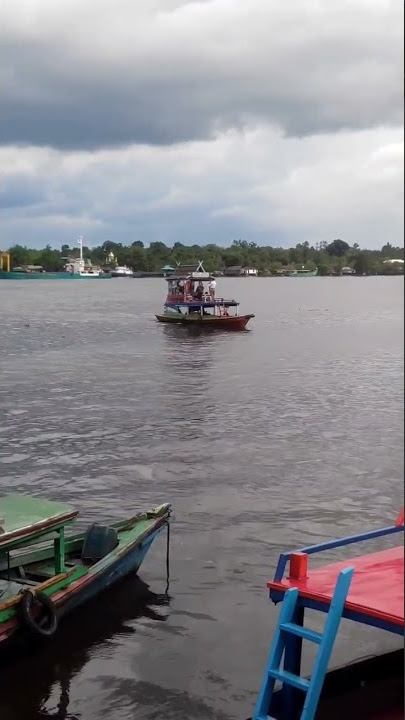 wisata susur sungai#sungai #klotok #shorts