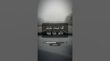 قرآن كريم |  سورة النساء - آية 56 | بدر التركي | حالات واتس