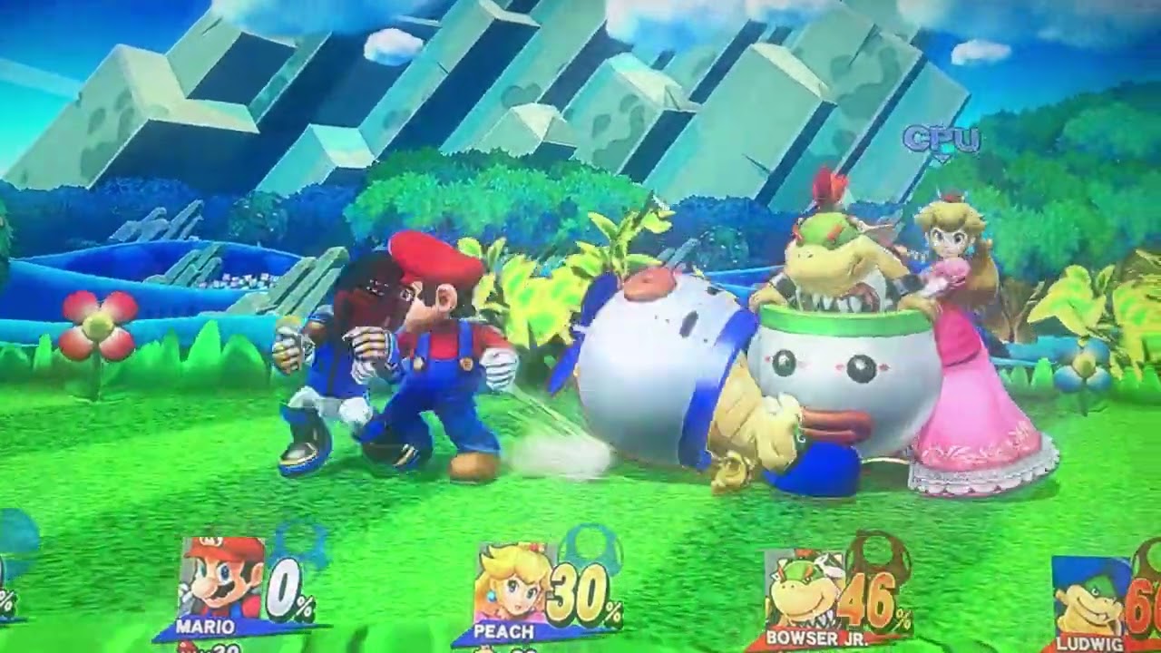 スマッシュブラザーズ　スイッチ　みぃやん 任天堂 Nintendo switch ソフト 大乱闘スマッシュブラザーズ