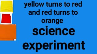 Small Experiment Using Turmeric And Rin Soap