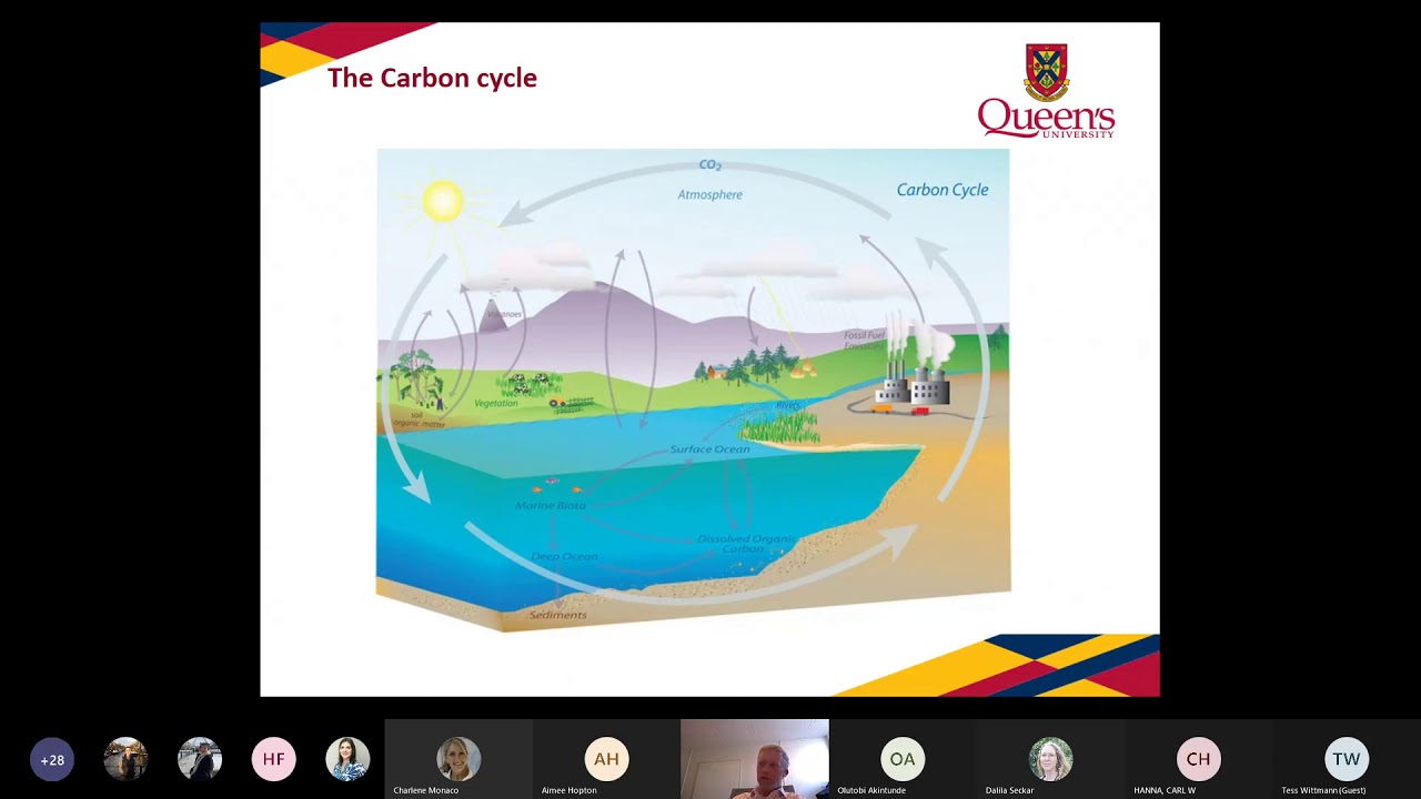 Carbon Explained: Part One