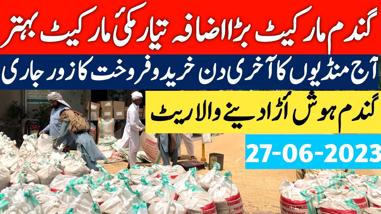 New Wheat Price Update Today wheat Rate Today Punjab new-wheat-price-update-today-wheat-rate-today-punjab