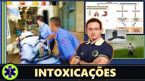 Como agem os inseticidas piretroides?