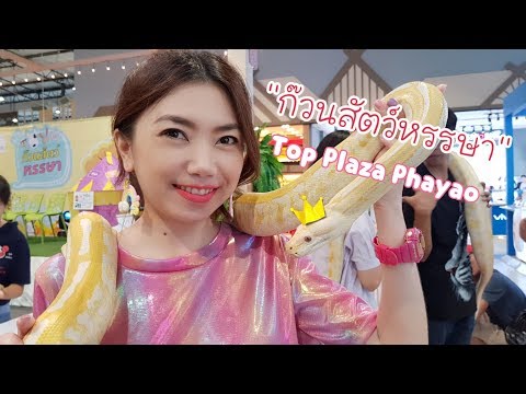 เที่ยวงาน Pet Fair | ก๊วนสัตว์หรรษา | Top Plaza Phayao