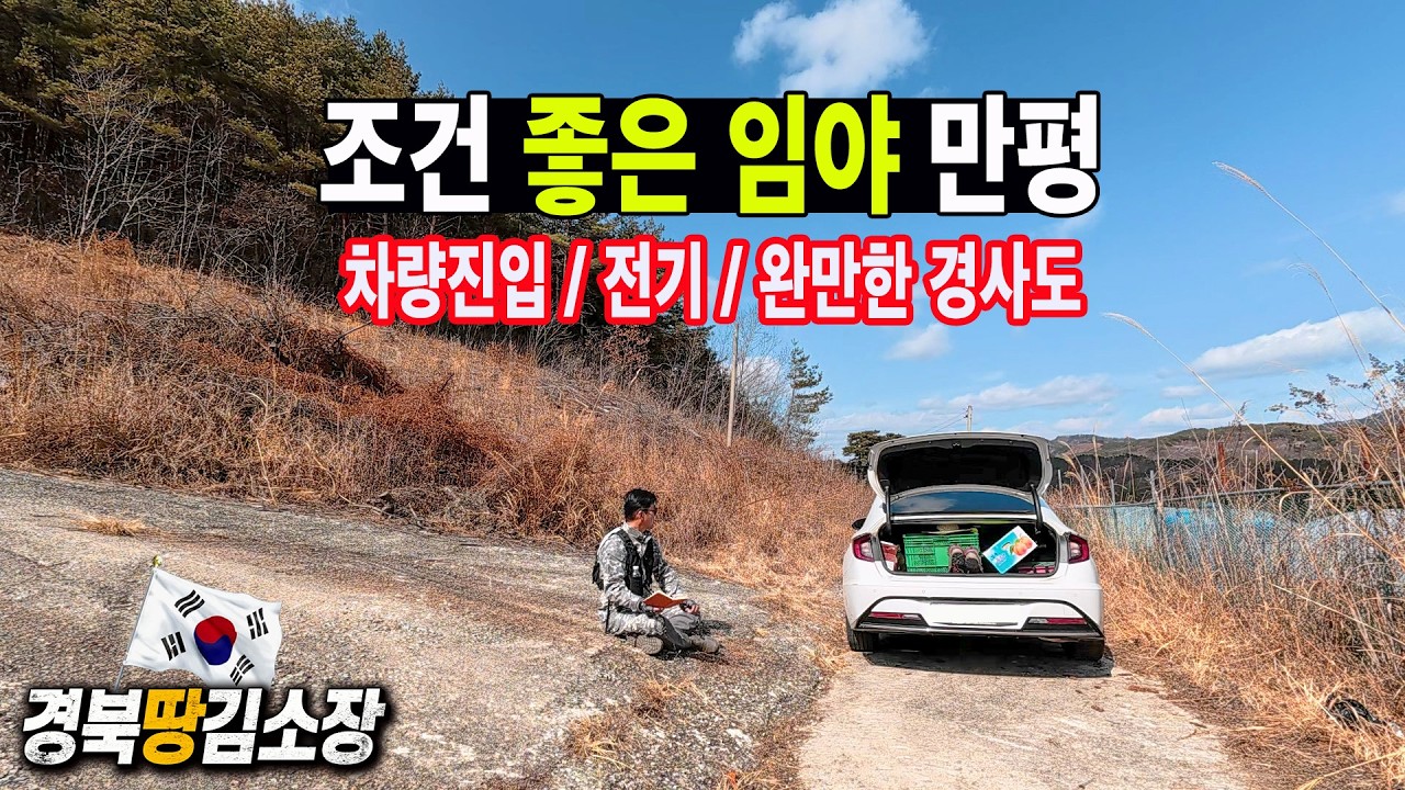 ★경북땅김소장★[매번988번] 조건좋은임야/차량진입/전신주 기본거리/완만한 경사도