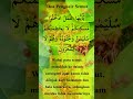 Doa Mengusir Semut Nabi Sulaiman | Doa Doa Pendek Islam