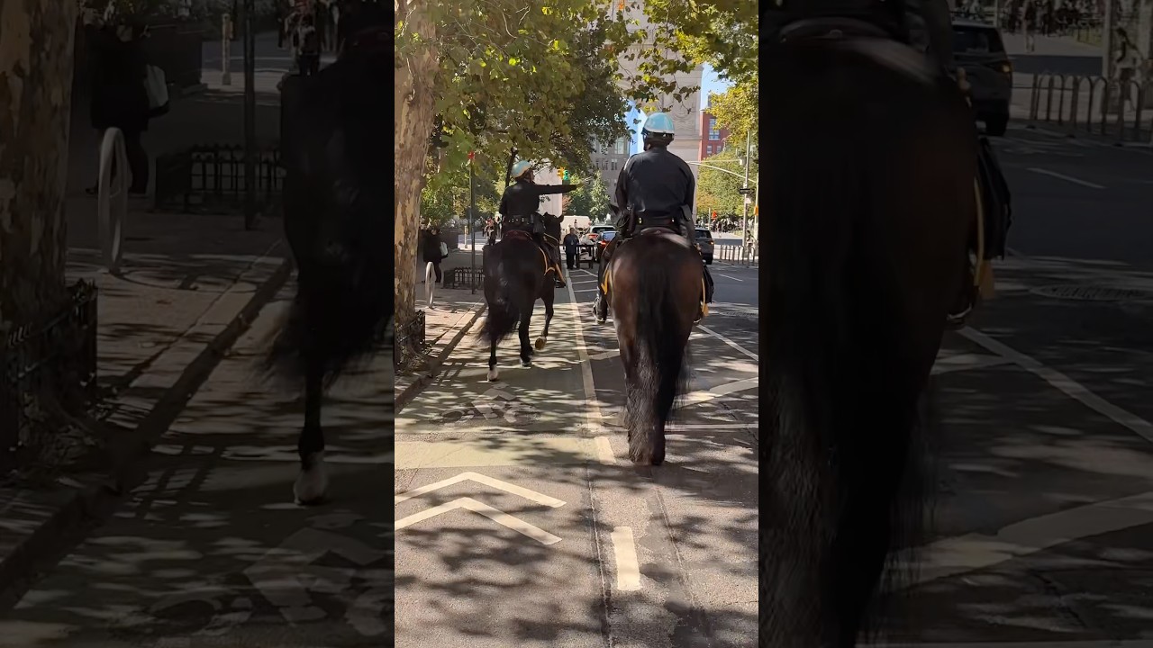 Problem with NYC bike lanes