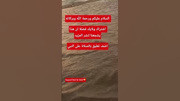 استمع للقرآن الكريم #تلاوة_خاشعة #القارئ خالد الجليل ٣٠ ثانيه فقط