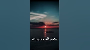 يا أيها المزمل || القارئ سالم الرويلي