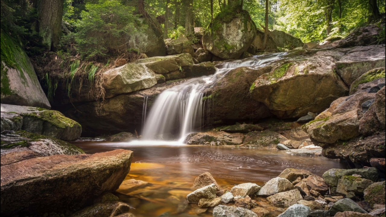 Tiburtina - Schwartzy