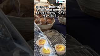 “대전을 빵의 도시로”… 빵모았당협동조합·허태정 전 시장, 베이커리 문화도시 조성 간담회 개최