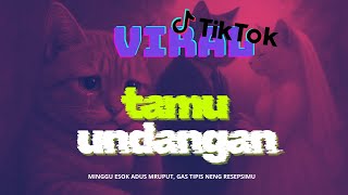 DJ TAMU UNDANGAN | Minggu esok adus mruput gas tipis neng resepsimu | VIRAL TIKTOK - PlaylistKita