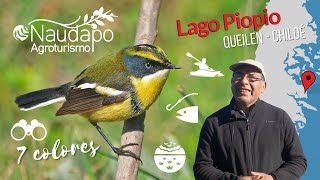 Agroturismo El Ñaudapo / Queilen, Chiloé