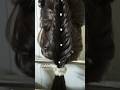 #diyhairstyle#hairstyle#hairstyleforgirls#nasheed#shorts#viralvideo#treanding#treand#hair#shortfeed