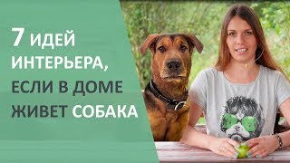 Кто хочет собаку? Идеи и лайфхаки для собаки.