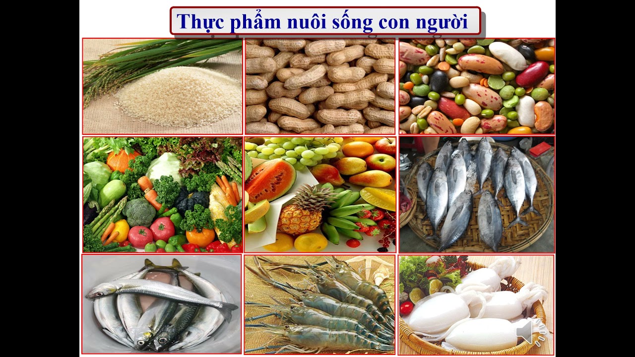 Luyện từ và câu- Lớp 3- Tuần 34- Tiết 34- Từ ngữ về... - youtube