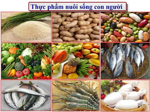 Video Luyện từ và câu- Lớp 3- Tuần 34- Tiết 34- Từ ngữ về... - youtube