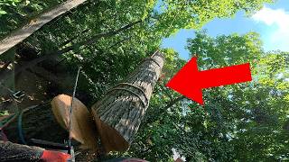 Can Our Equipment Handle The Weight Of These Logs!