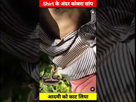 सांप ने काट लिया #cobra