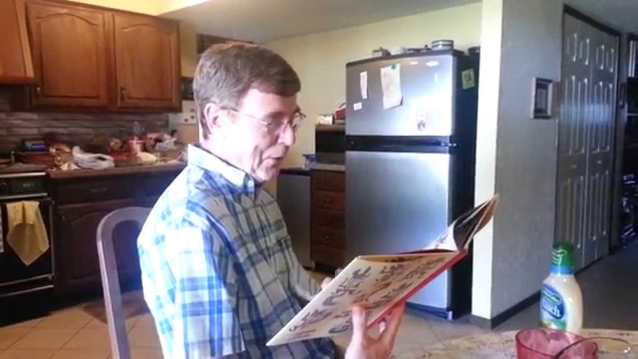 Dad Reads "What Does The Fox Say?" as a Children's Book