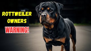 ❌ 10 Things You Should Never Do With Your Rottweiler – Consider This Your Warning❗