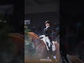 Dressage dreams made in heaven 💖