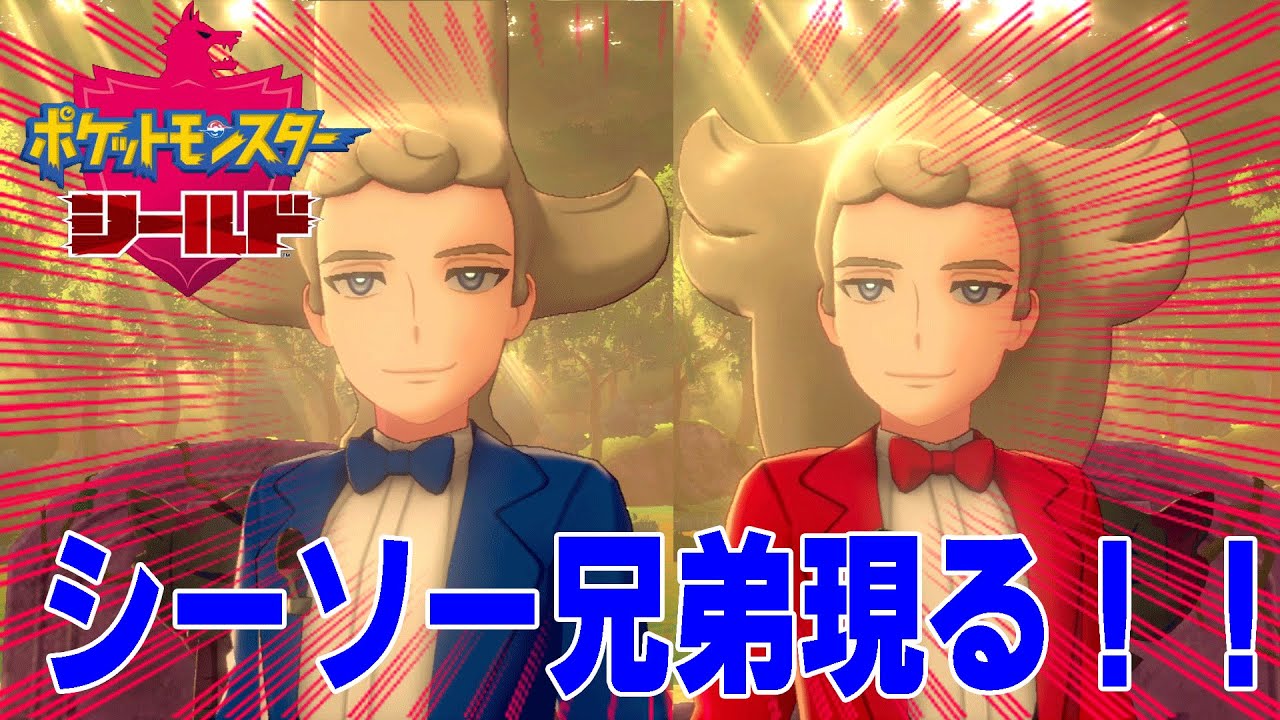 ポケモン剣盾 シーソ兄弟現る Youtube
