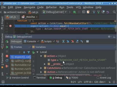 Webpack Client/Server. Debugging Tests