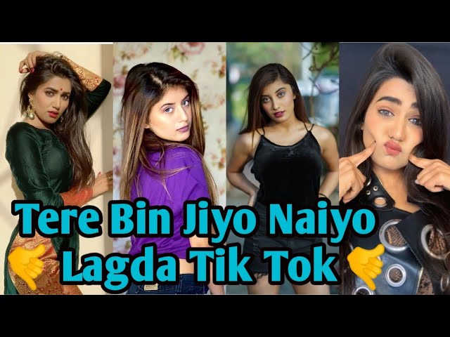 Tere Bin Jiyo Naiyo Lagda Tik Tok Video | Sound Oggyyyy | Remix Song Tik Tok Video....