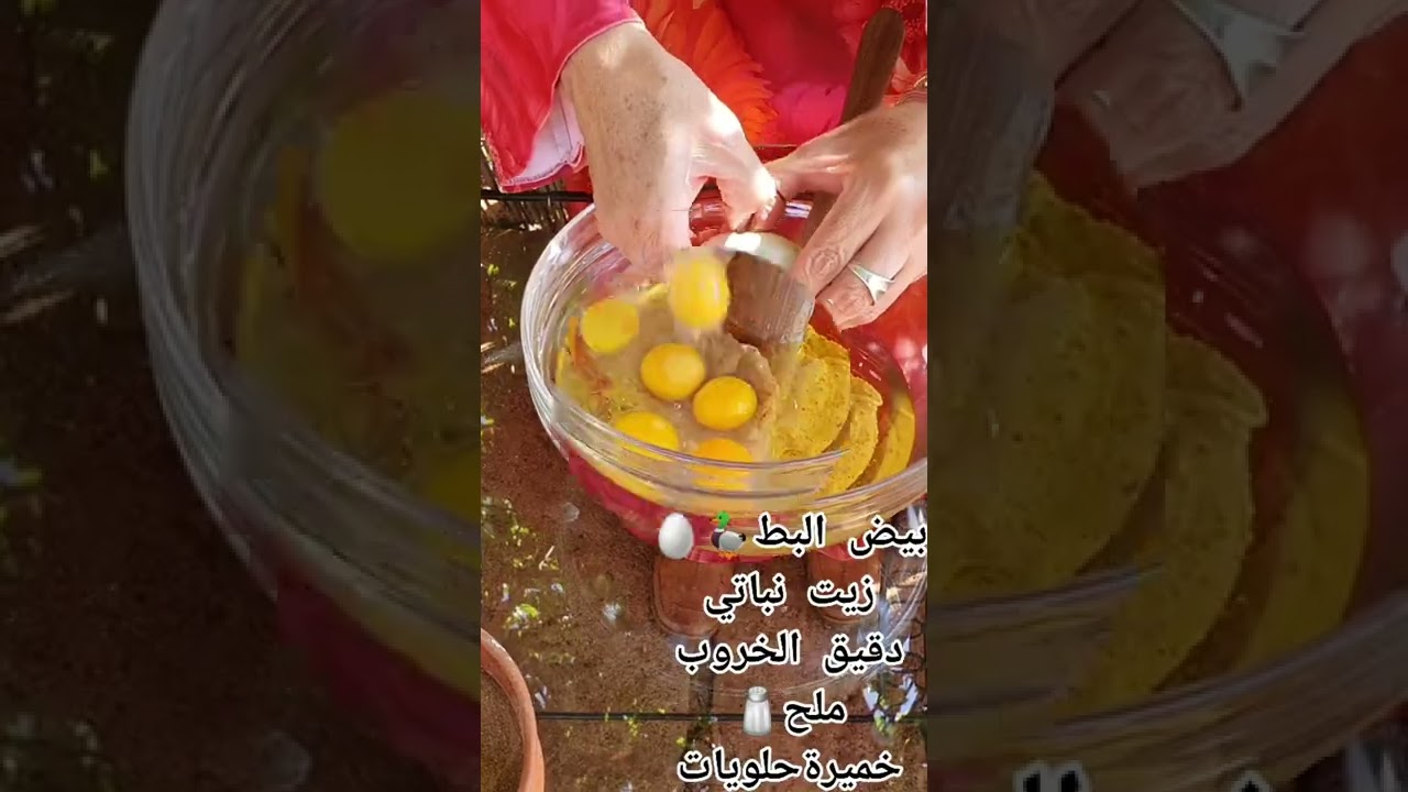 JUICY APRICOT🍑مشمش🌰👩‍🌾🌼