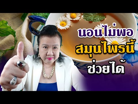 นอนไม่พอ ทำไงดี ชาคาโมมายล์ สรรพคุณ | พี่ปลา Healthy Fish