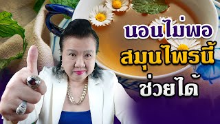 นอนไม่พอ ทำไงดี ชาคาโมมายล์ สรรพคุณ | พี่ปลา Healthy Fish