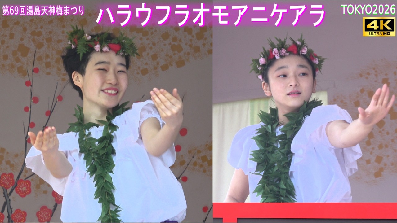 4K【ハラウフラオモアニケアラ】フラダンス 第69回湯島天神梅まつり