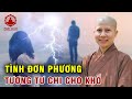 Tình đơn phương tương tư chi cho khổ | SC Giác Lệ Hiếu trả lời vấn đáp | PGVN