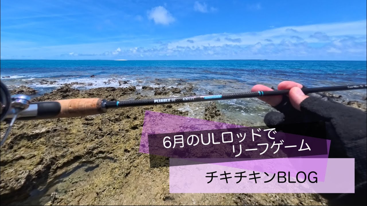 ［沖縄］6月のULロッドでリーフゲーム［ルアーフィッシング］#沖縄 #釣り #ルアー釣り #fishing #fishingvideo