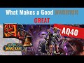 What Makes a Good Warrior GREAT?? (CD Usage Guide AQ40)