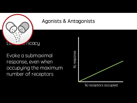 Video: Wie is een receptorantagonist?