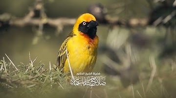 شَهِدَ اللَّهُ أَنَّهُ لَا إِلَٰهَ إِلَّا هُوَ وَالْمَلَائِكَةُ | سورة آل عمران | آية 18