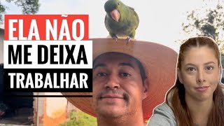 PREPARANDO OS VIVEIROS DOS ANIMAIS QUE FUGIRAM no SÍTIO