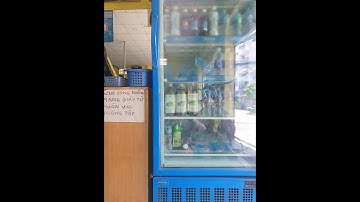 Nước cốt trái Nhàu đã có bán tại phòng Gym_công dụng của trái nhàu