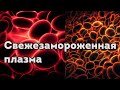 Свежезамороженная плазма крови