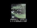 Ntwjitw by negatory effect