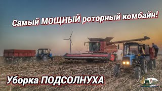 МОЩНЫЙ Комбайн Case IH 8250 убирает семечку всмете с тракторами Мтз 82.1 и Мтз 952!