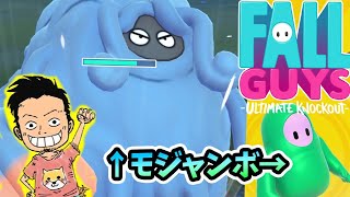 ｆａｌｌｇｕｙｓって知らないの モジャンボだよ ポケモンｇｏ Youtube