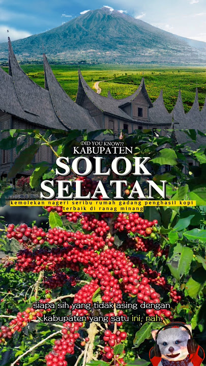 solok selatan ~ kemolekan nagari seribu rumah gadang penghasil kopi terbaik di ranah minang|#shorts