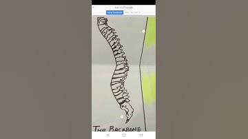 Body Movement #B.ed #MacroLessonPlan